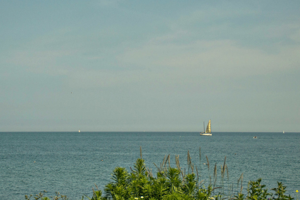 sailboat by summerfield