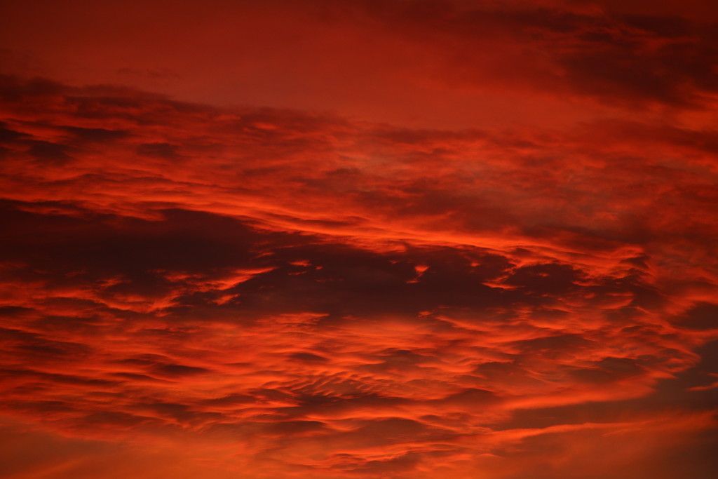 Red Sky At Night by nanderson