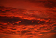 10th Aug 2015 - Red Sky At Night