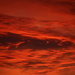 Red Sky At Night by nanderson