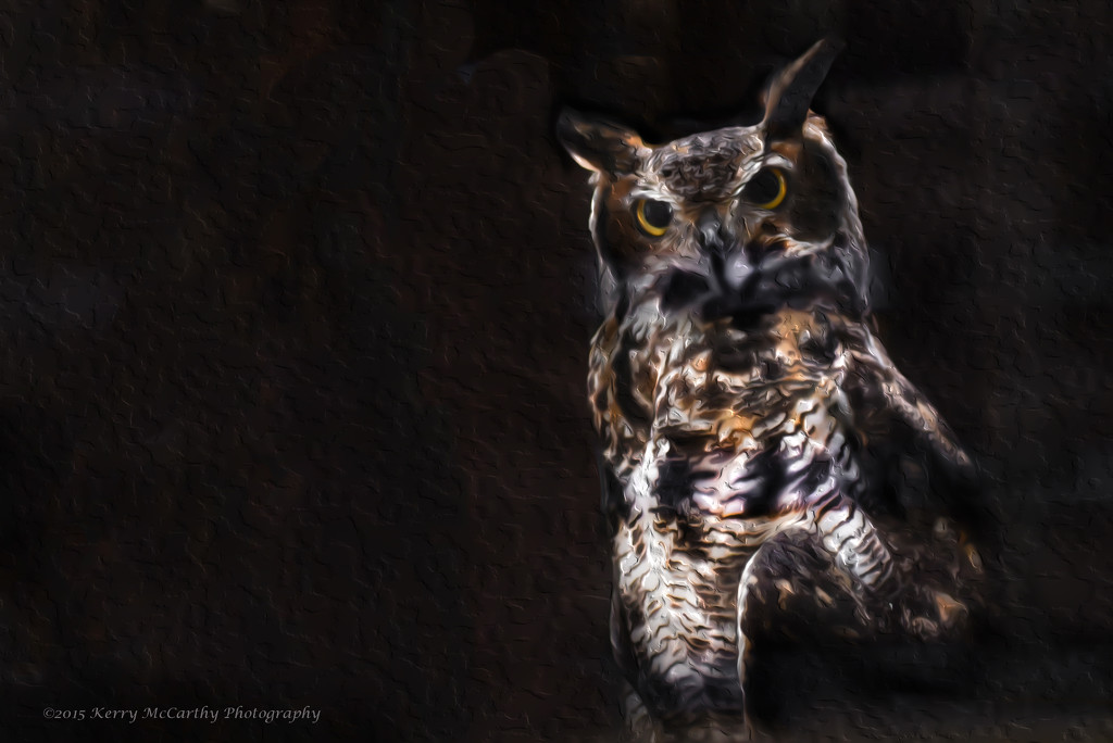 Great horned owl by mccarth1