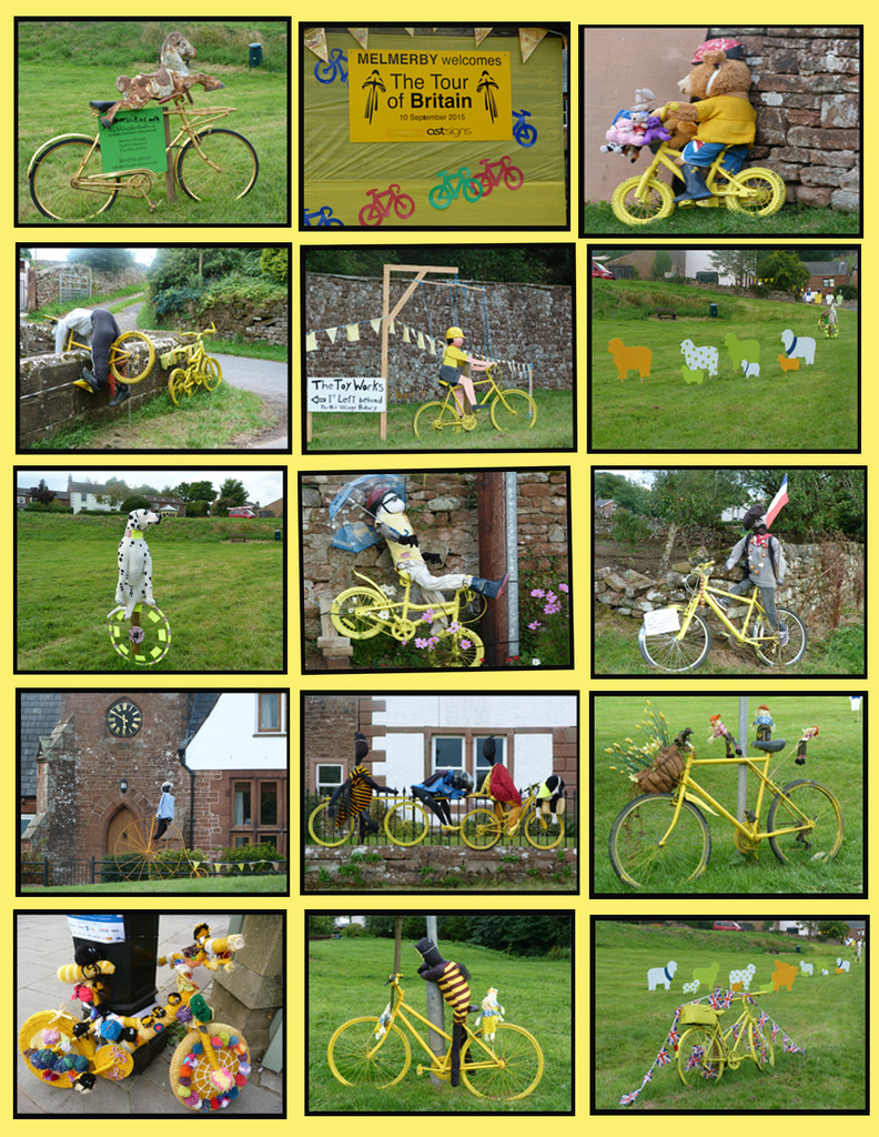 Bikes, bikes and more bikes.  by shirleybankfarm