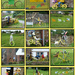 Bikes, bikes and more bikes.  by shirleybankfarm