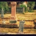 Milliorn Historic Cemetery  by wilkinscd