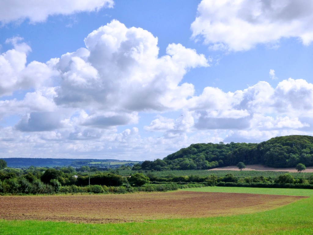 View towards Pitney Wood from Low Ham by julienne1