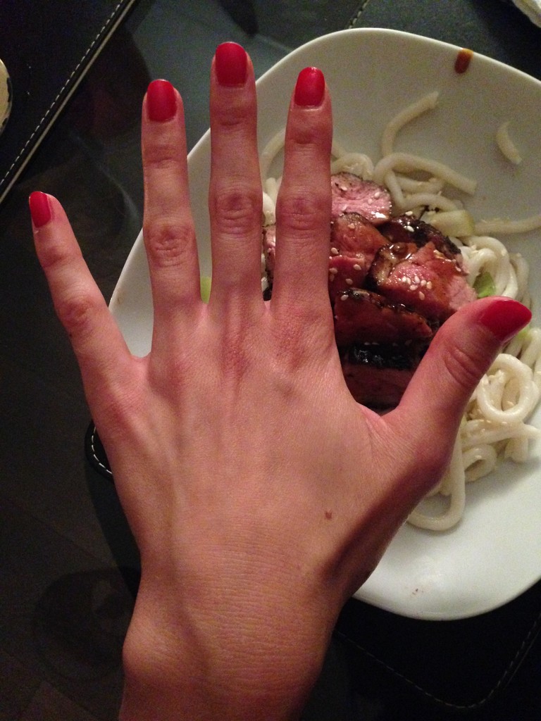 Duck Dinner Hand by bilbaroo