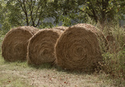 14th Sep 2015 - Bales of hay