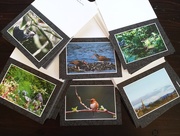 9th Sep 2015 - Note Cards