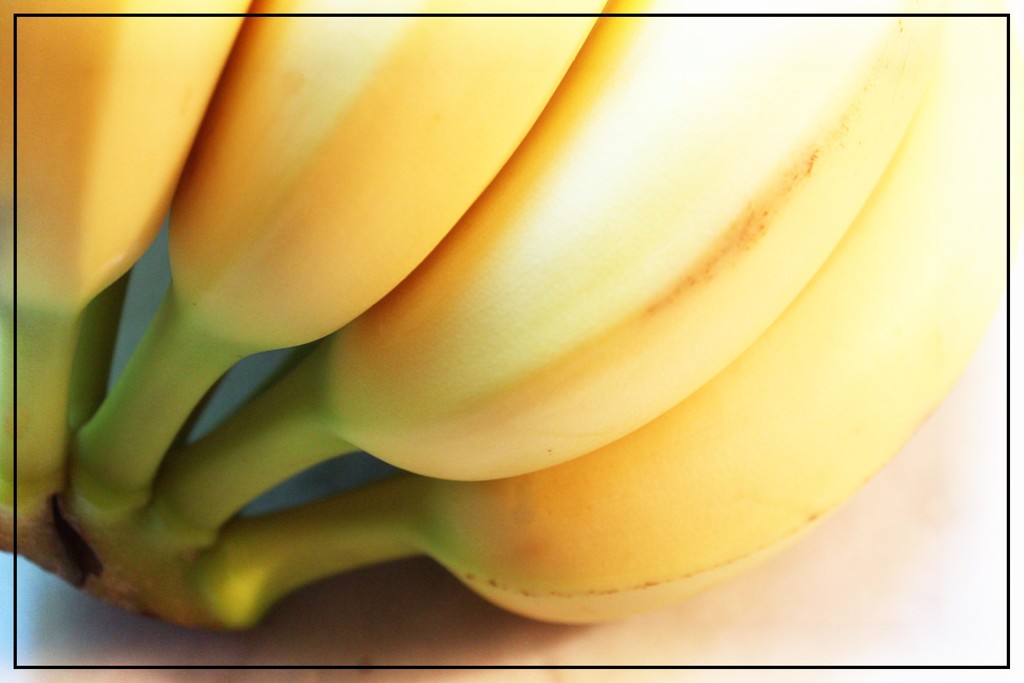 A Bunch of Bananas by olivetreeann