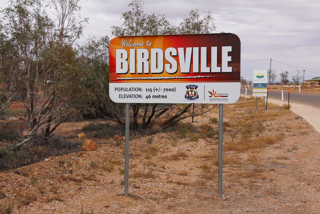 Welcome to Birdsville by terryliv