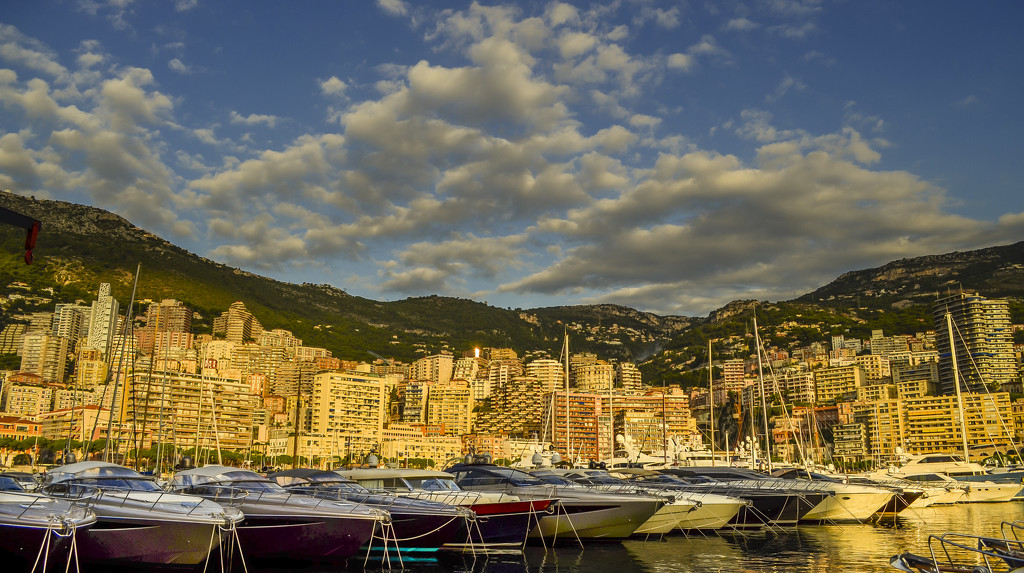 Monte Carlo by tonygig