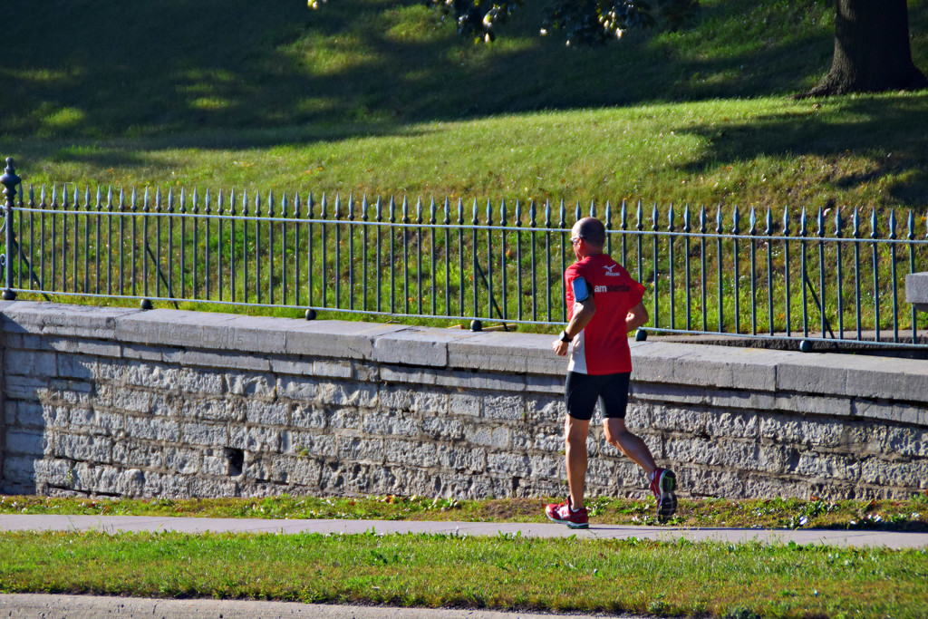 runner runner by summerfield