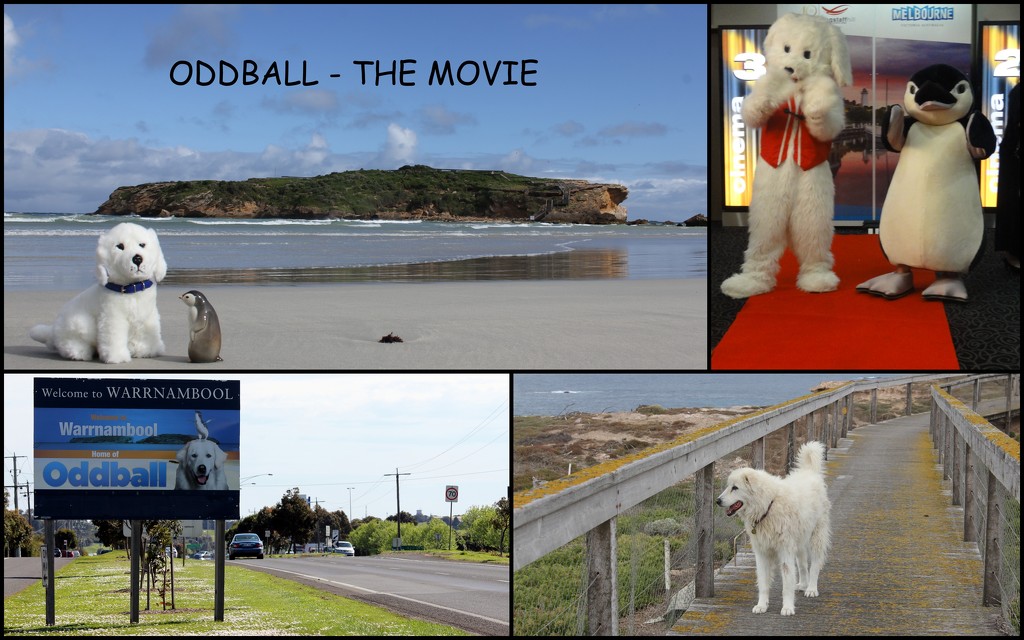 Oddball - the movie about my home town :) by gilbertwood