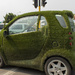 2015 09 14 Smart Grass Car by kwiksilver