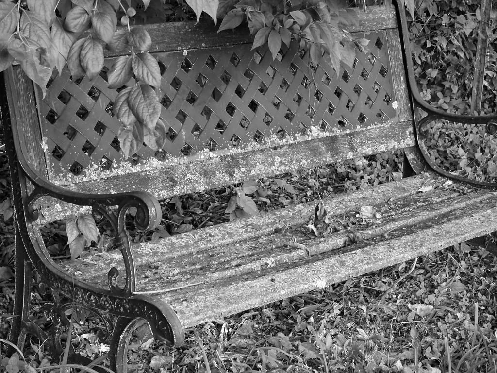 Bartlett Cemetery Bench by jae_at_wits_end