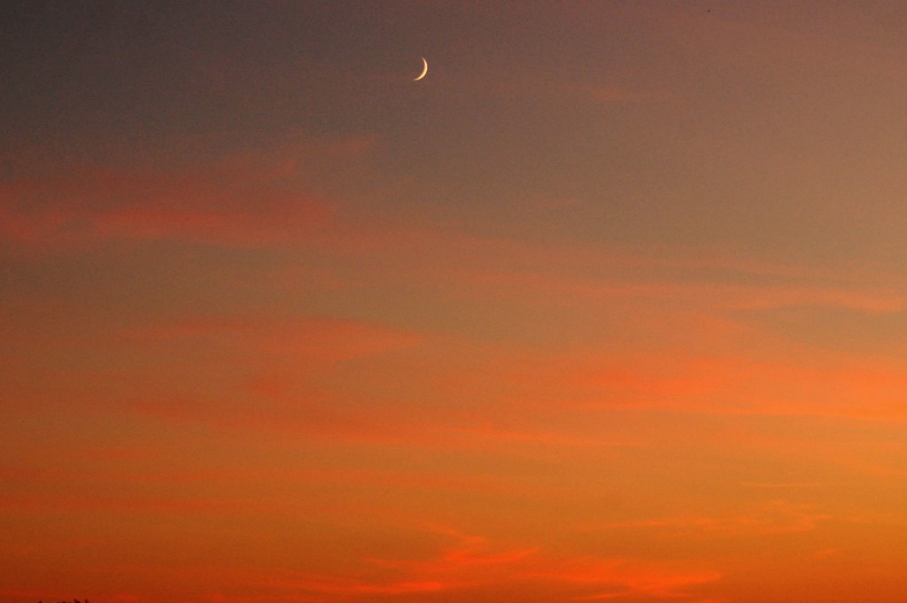 Crescent Moon Against a gorgeous sky by dianen