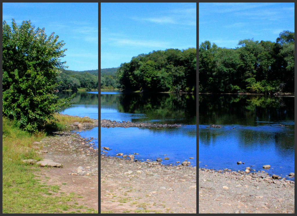 Delaware River Triptych by olivetreeann