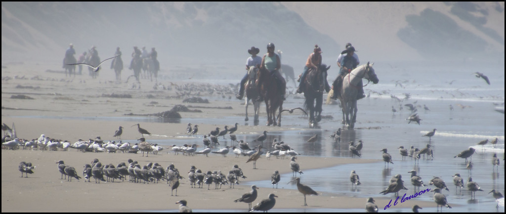 Rush Hour at the Beach by flygirl