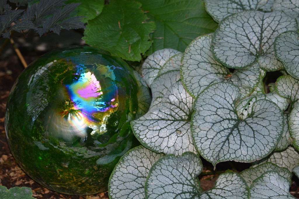 ~Garden Glass~ by crowfan