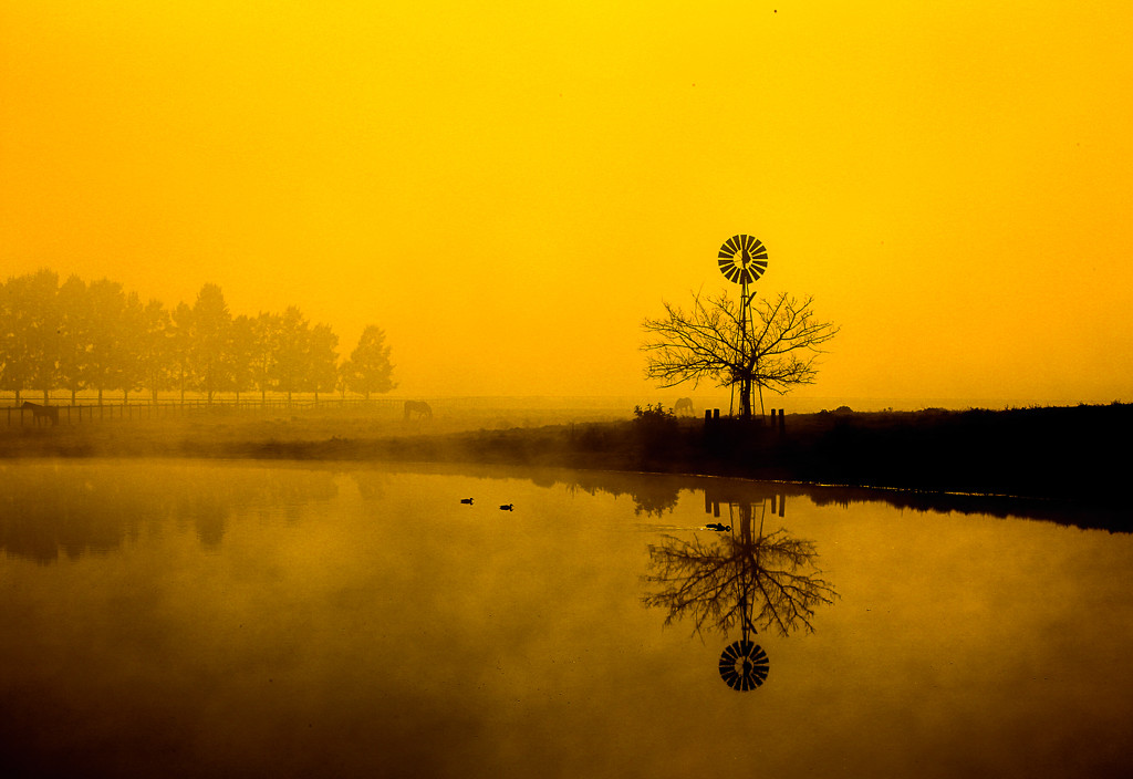 Sandstorm by abhijit