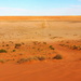 Simpson Desert track by terryliv