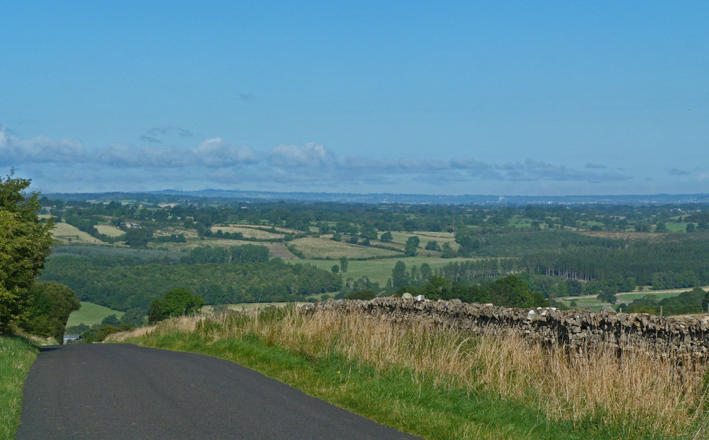 View by shirleybankfarm
