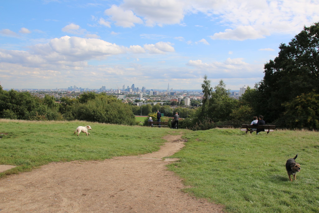 View of London from Parliament Hill by bizziebeeme