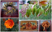 18th Sep 2015 - Signs of Fall