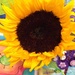 sunny flower by wiesnerbeth