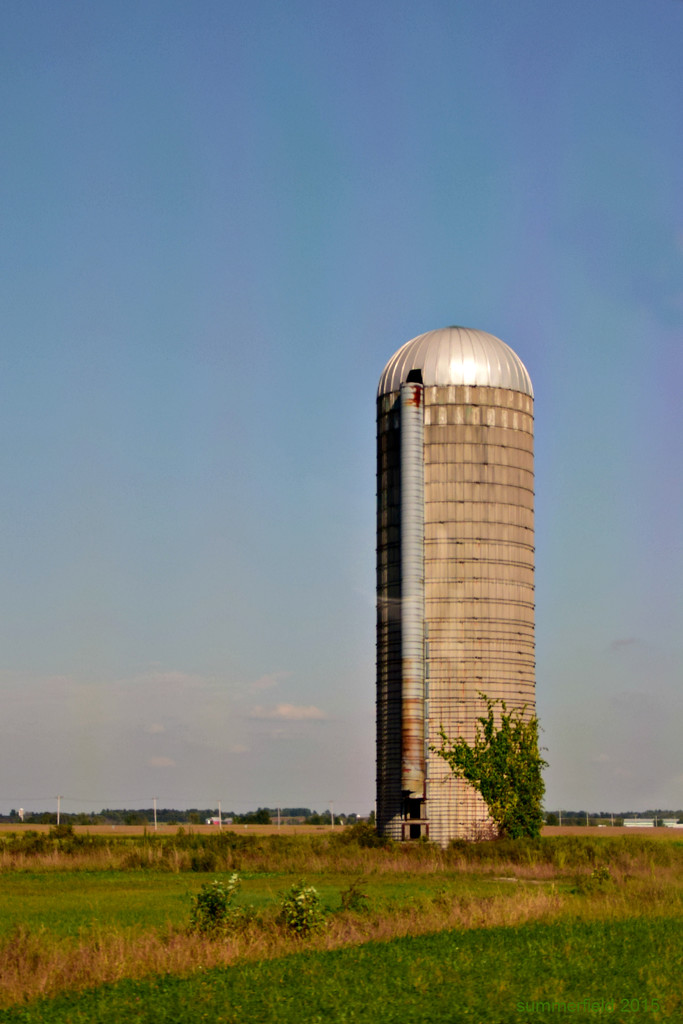 silo by summerfield