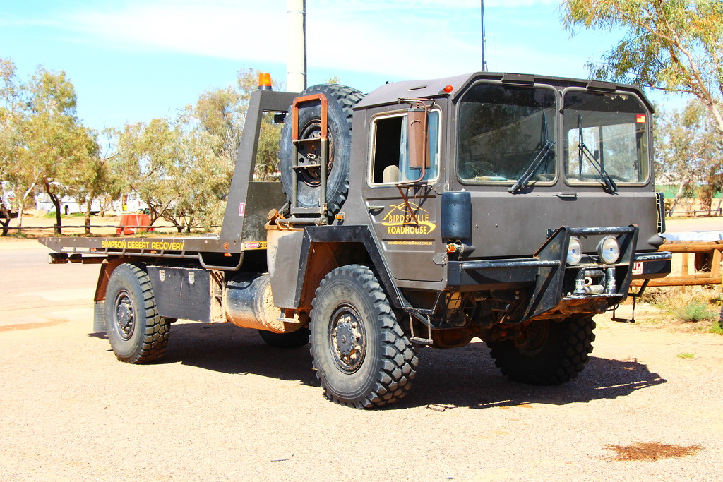 Simpson Desert Recovery Vehicle by terryliv
