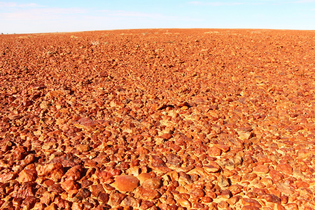 Gibber Plain by terryliv