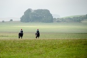 19th Sep 2015 - Off to the gallops 