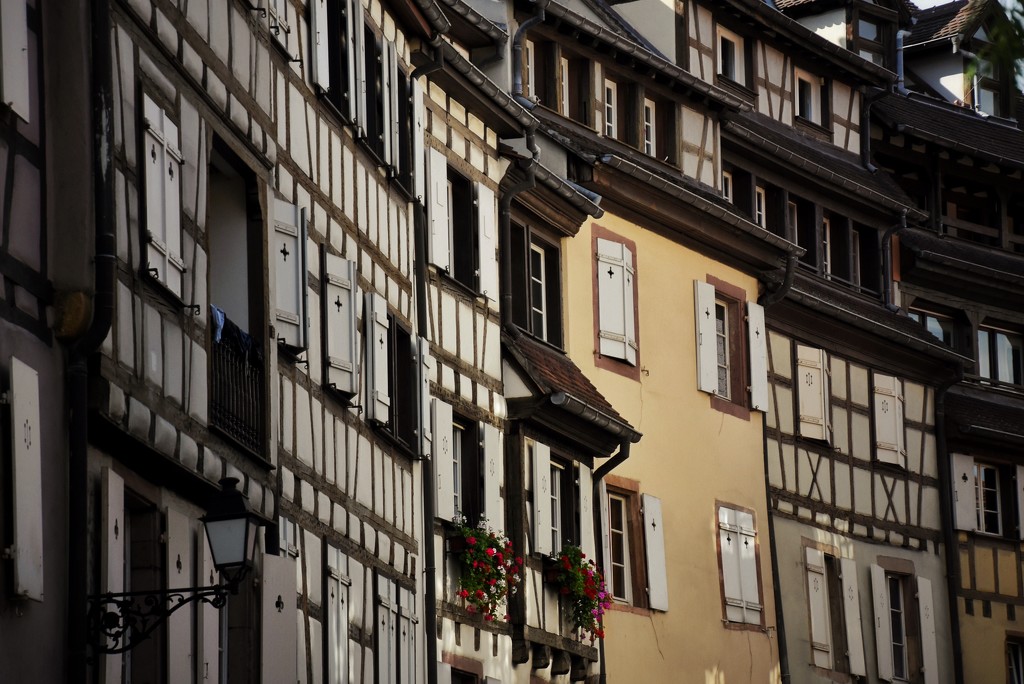 Colmar, France by vera365