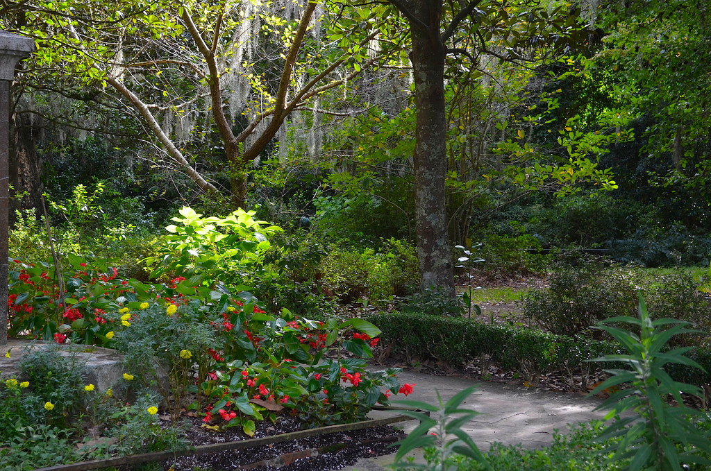 A quiet spot in Magnolia Gardens, Charleston, SC by congaree