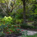 A quiet spot in Magnolia Gardens, Charleston, SC by congaree