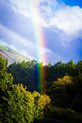 15th Sep 2015 - Following the rainbow.....