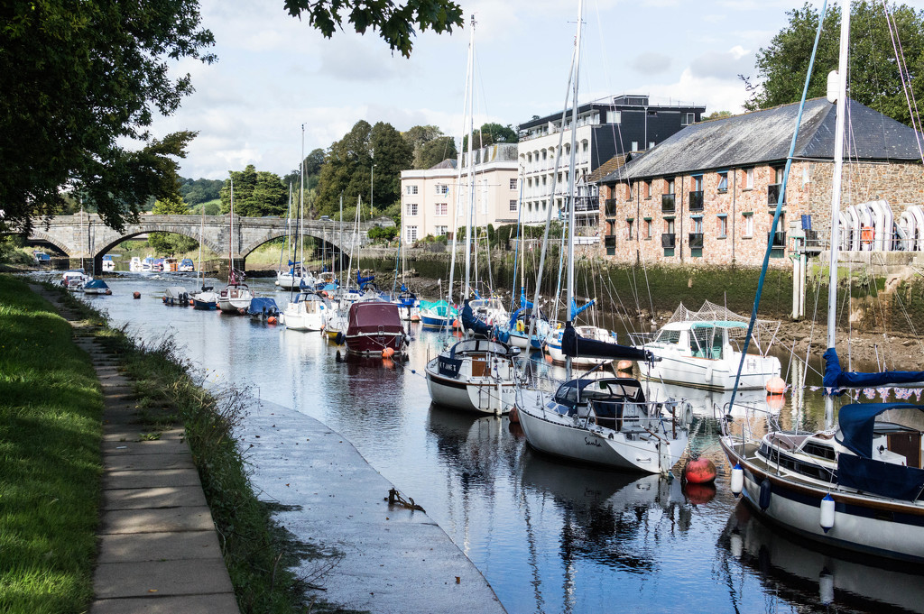 On the river Dart by susie1205