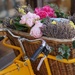 a basket of flowers by quietpurplehaze