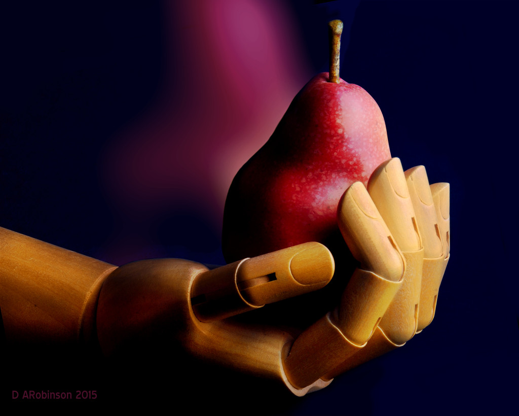 A Pear In The Hand by davidrobinson