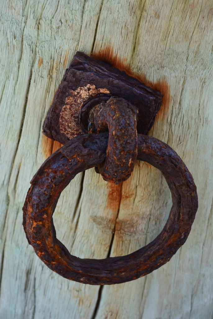 Rusty Ring DSC_0939 by merrelyn