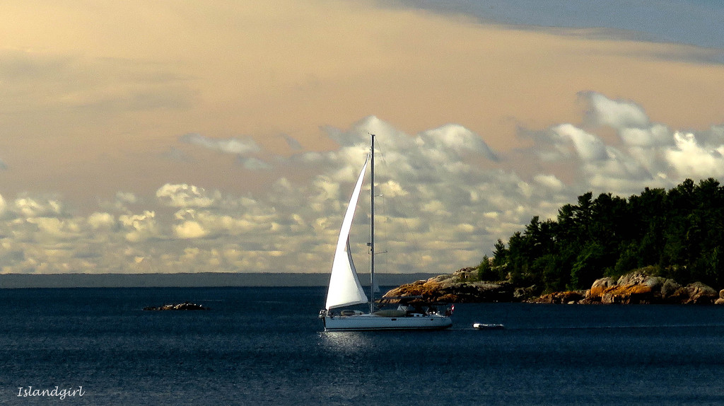 Sailing Away!    by radiogirl