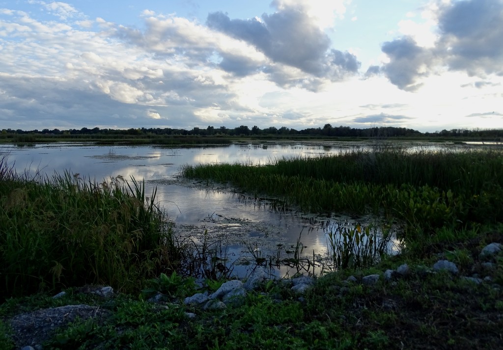 Marsh at sundown by annepann
