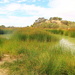 Mungerannie Wetlands by terryliv
