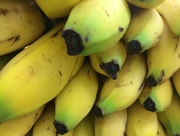 20th Sep 2015 - Bananas