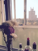 21st Sep 2015 - Flowers and a View