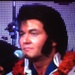 Elvis impersonator by prn