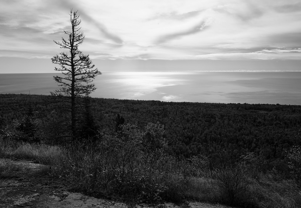 Lake Superior from Oberg Mt. by tosee