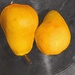 Still Life Of Two Pears by dakotakid35