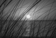 22nd Sep 2015 - sunset in black and white 